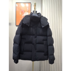 Zegna Down Jackets